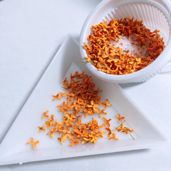 『2022年収穫』金木犀のドライフラワー  花材 1枚目の画像