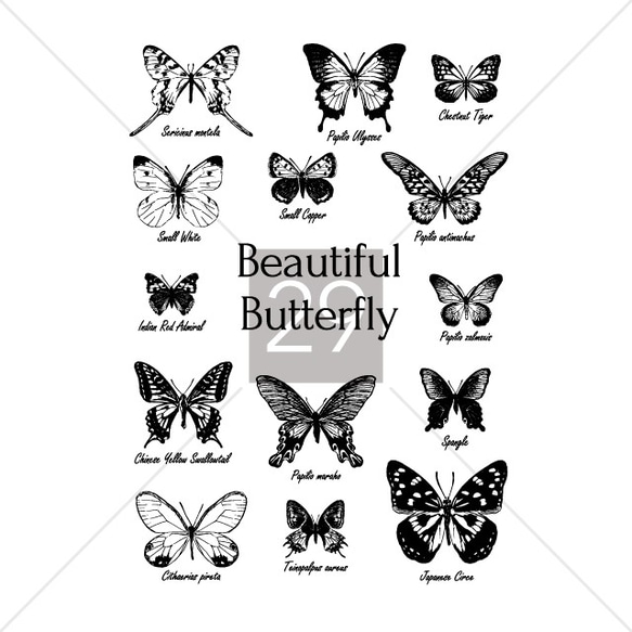 蝶々 昆虫採集 Tシャツ メンズ レディース おしゃれ かわいい 白 夏 プレゼント 大きいサイズ 綿100% 5枚目の画像