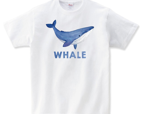 0_da0da8680a6bc2b4d8b24b556ab0