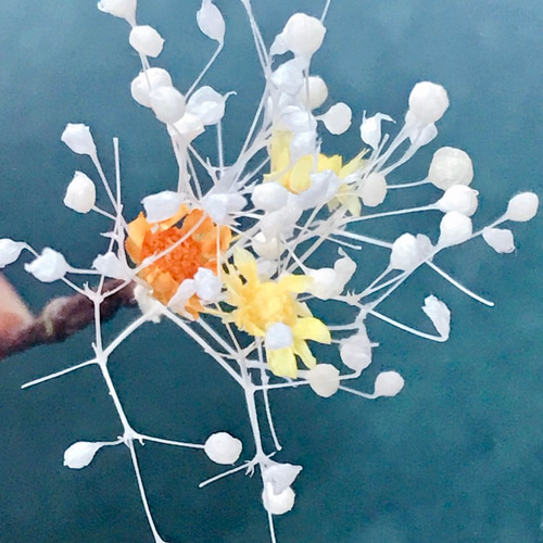 人気再々々販！】 かすみ草の髪飾り with スターフラワー ヘアピン hug  