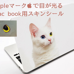 【目が光る】ねこmac bookスキンシール11.13inch 2枚目の画像