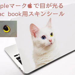 【目が光る】ねこmac bookスキンシール13インチpro 2枚目の画像