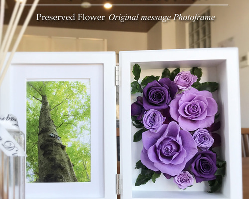 0_523f1e4b46df0a87048ffad34061