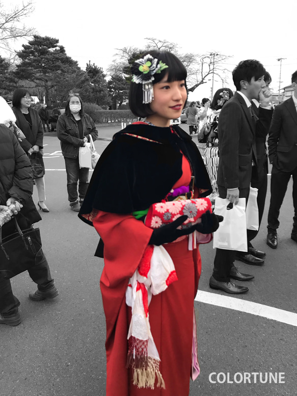 ビロードオリジナルケープ 成人式 卒業式 着物 ショール 和装小物（帯 