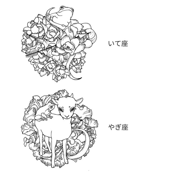 カエルと星座と花の缶バッジ 6枚目の画像