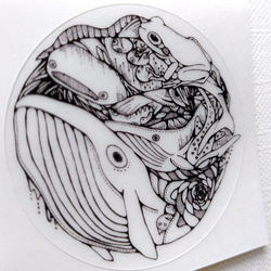 カエルとクジラとジンベエザメのクリアステッカー 2枚目の画像