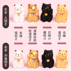 [貓咪的選擇]Nyanko-miya Nyanko神社 帶來幸福 　帯神的窗帘・带搁板　柏木 第5張的照片