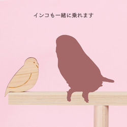 免運費！原型一種聚集在鳥居的小神社-鳥神大鳥-鳥/長尾小鸚鵡使用日本柏樹 第3張的照片