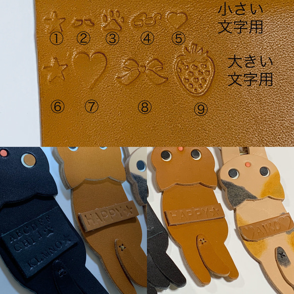  第3張的照片
