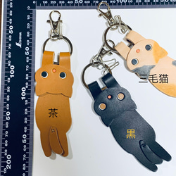  第6張的照片