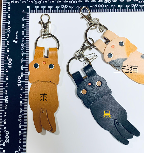  第6張的照片