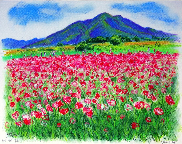 ポピー畑にて(パステル画) 絵画 中井 克美 通販 207489｜Creema 