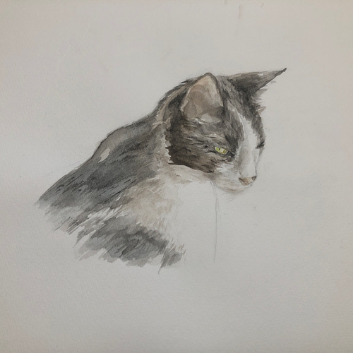 猫 額縁 ハチワレ 白黒 子猫 花 七宝焼き 絵画（アート
