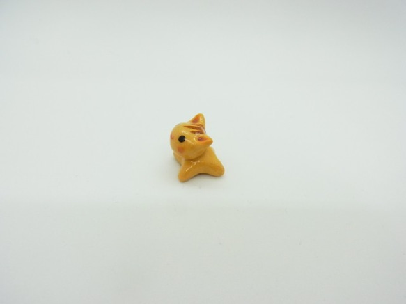 ちゃとらまめねこ 4枚目の画像