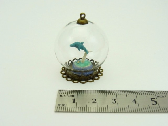再販・ガラスドーム～まめイルカ～ 2枚目の画像