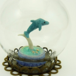 再販・ガラスドーム～まめイルカ～ 4枚目の画像