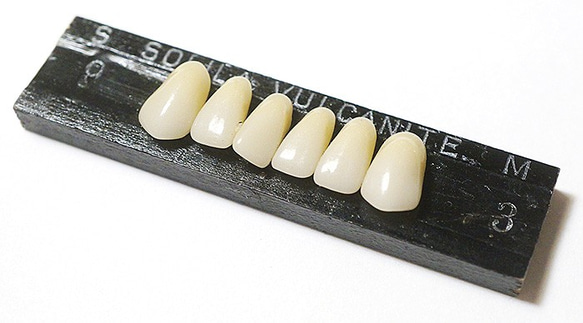 フランス製の入れ歯のサンプル 2枚目の画像