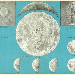 「20世紀天文学」マスキングテープ 3枚目の画像