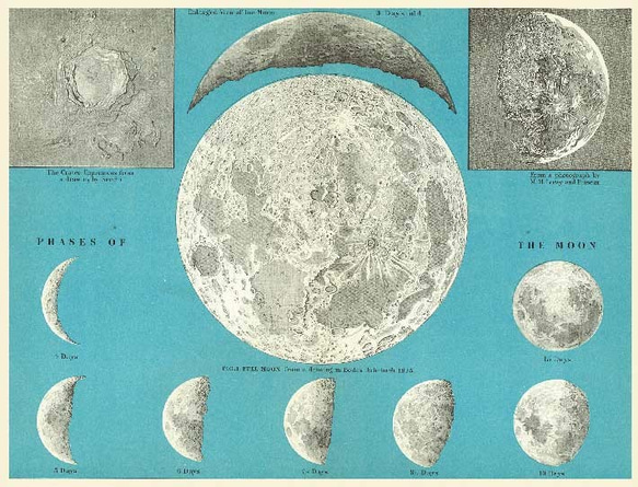 「20世紀天文学」マスキングテープ 3枚目の画像