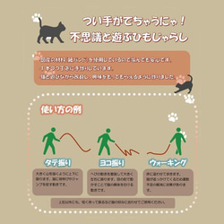 つい手がでちゃうにゃ！不思議と遊ぶひもじゃらし 猫のおもちゃ ねこじゃらし 2枚目の画像