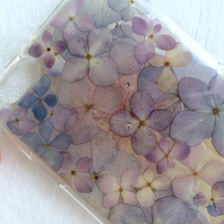 紫陽花と日日草の押し花iPhone6ケース 3枚目の画像