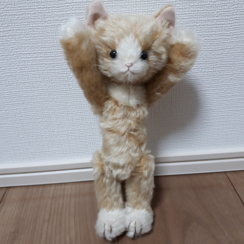 テディキャット(ベージュ) ぬいぐるみ Hiromi.M 通販 13037130｜Creema