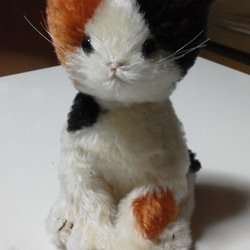 三毛猫ミーちゃん(参考作品) 1枚目の画像