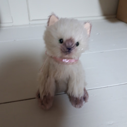 シャム猫ちゃん(参考作品) ぬいぐるみ Hiromi.M 通販 8432479