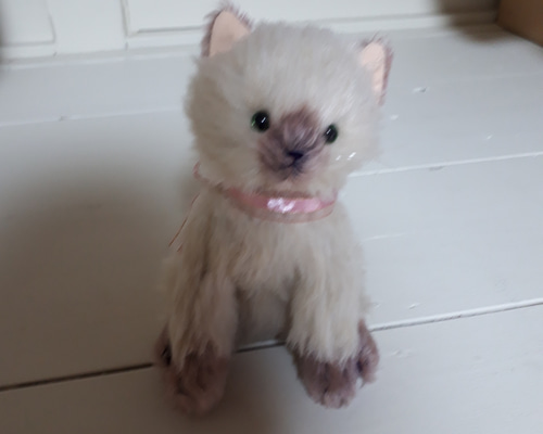 Amazon.co.jp: GUDVES シャム猫 ぬいぐるみ ショートヘア 猫