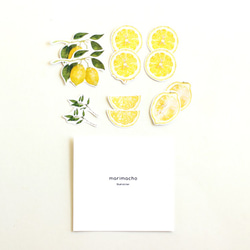 イラストフレークシール-Lemon- 2枚目の画像
