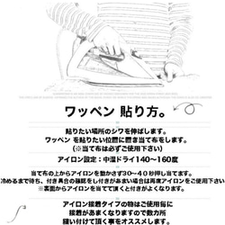 【B15】刺繍アイロンワッペン ★❷枚  鯉のぼり こい 4枚目の画像