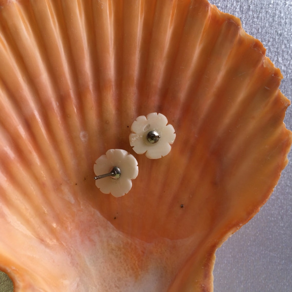 白珊瑚のま〜るいお花ピアス 4枚目の画像