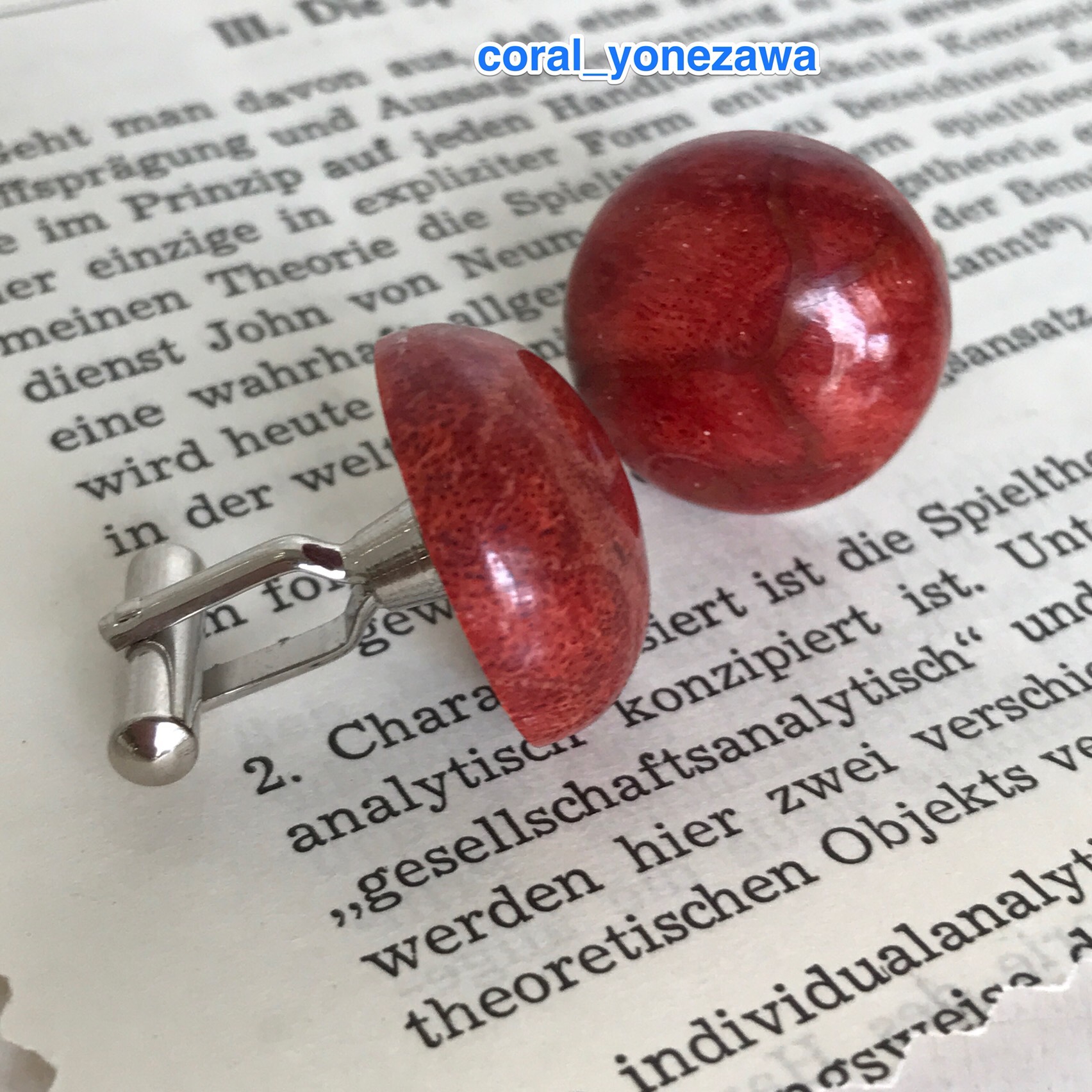 秋色はじめました  カフスボタン