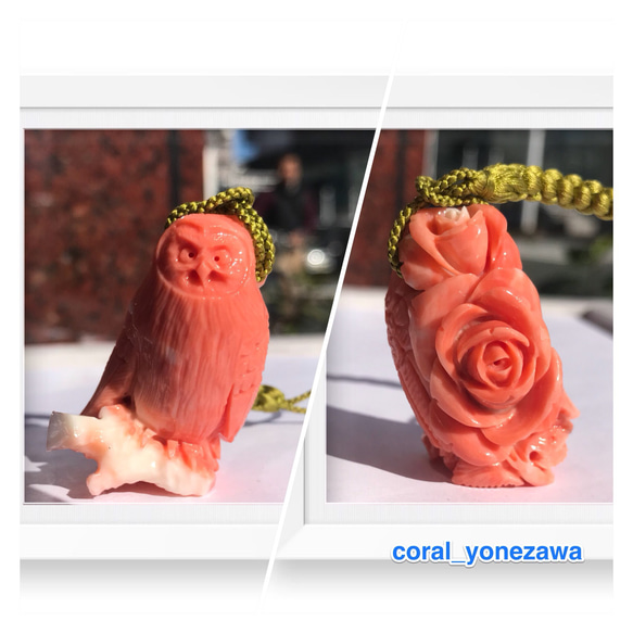 珊瑚 置物 塊1個バラ5個 【公式通販】