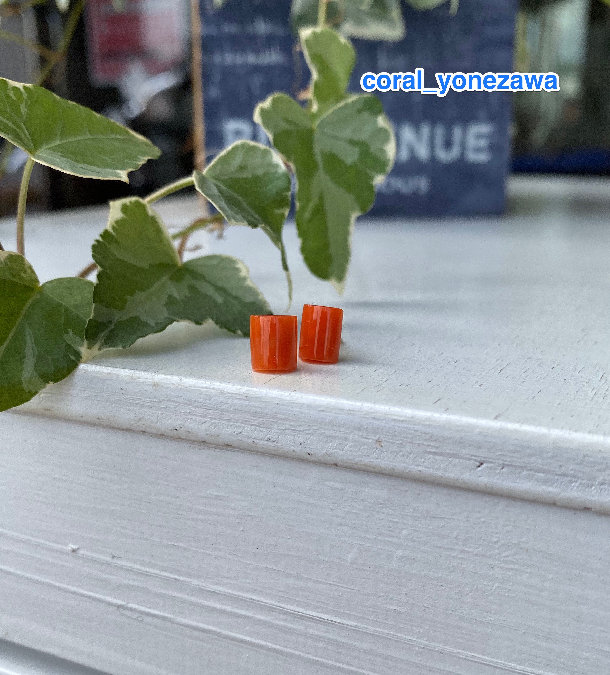 朱色・宝石珊瑚・K 18YGスクエアピアス