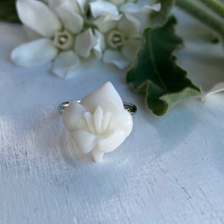 宝石珊瑚・フリーサイズファッションリング・純白の白百合 7枚目の画像