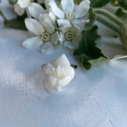 宝石珊瑚・フリーサイズファッションリング・純白の白百合 8枚目の画像
