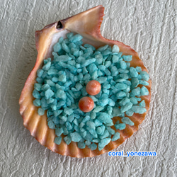 珊瑚チタン製ピアス・土佐から直売 1枚目の画像