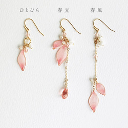 2018【春季限定】さくらのみみかざり ひとひら【片耳販売 桜のアクセサリー】 6枚目の画像