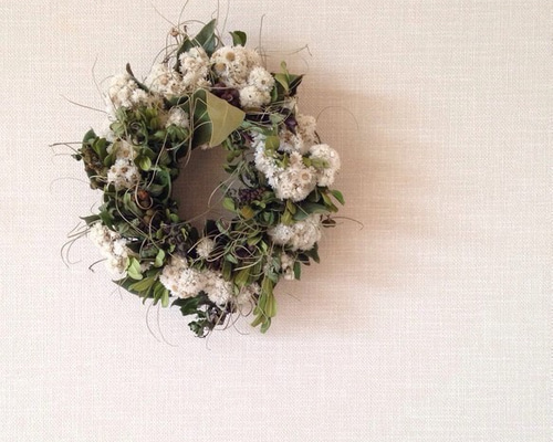 フレンチリース　カワラハハコ フレンチリース カワラハハコ フレンチリース カワラハハコ フレンチ