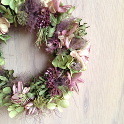 フジバカマのリース ドライフラワー morinowakka 通販 4573997｜Creema