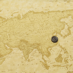 USAコットン moda PASSPORT 世界地図 ベージュ 1枚目の画像
