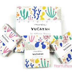 USAコットン moda mini charm 42枚セット YUCATAN 4枚目の画像