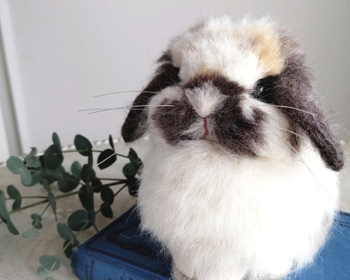 1_72c5c49ccfd74bc651c5a604e48b