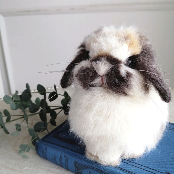 羊毛フェルトリアルうさぎ お座りホーランドロップ (ブロークントータス) ブロークントータス