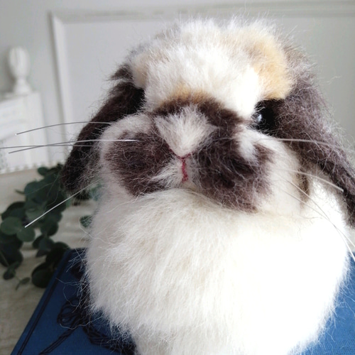 羊毛フェルトリアルうさぎ お座りホーランドロップ (ブロークン