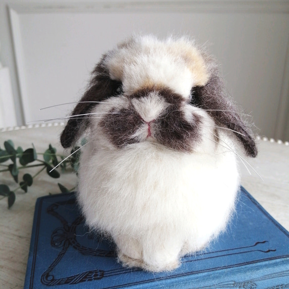 羊毛フェルトリアルうさぎ お座りホーランドロップ (ブロークントータス) ブロークントータス