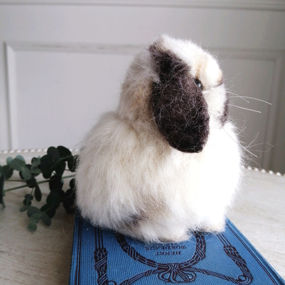 羊毛フェルトリアルうさぎ お座りホーランドロップ (ブロークントータス) ブロークントータス