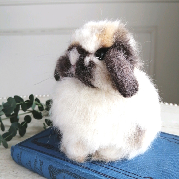 羊毛フェルトリアルうさぎ お座りホーランドロップ (ブロークントータス) ブロークントータス