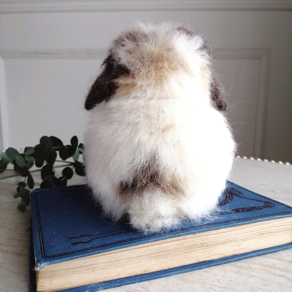 羊毛フェルトリアルうさぎ お座りホーランドロップ (ブロークントータス) ブロークントータス